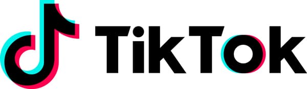 Tiktok in 20 web application in world